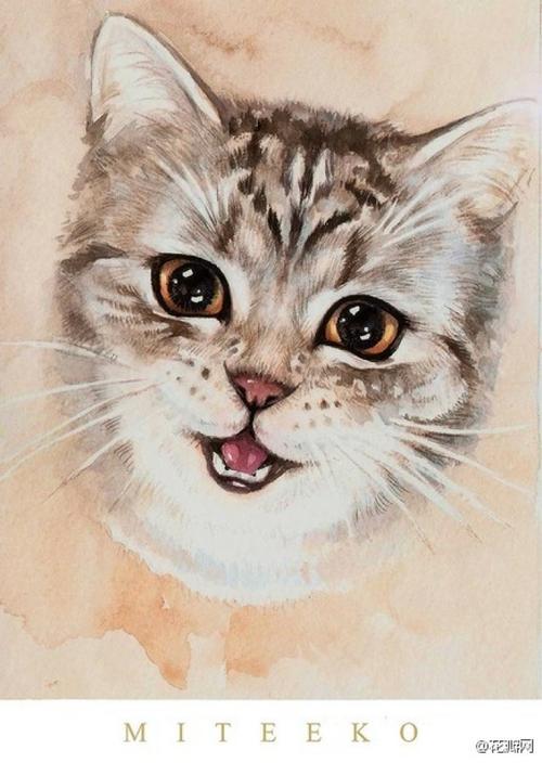猫美丽的句子