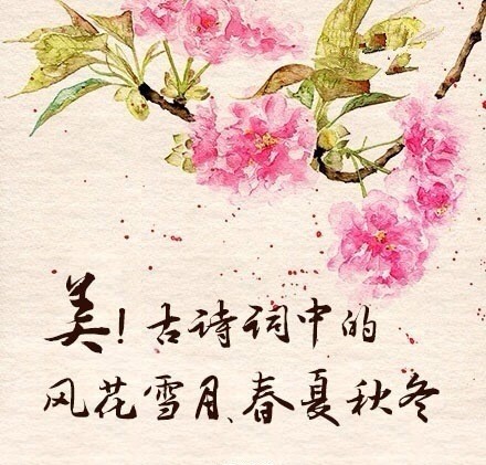 描写春天，夏天，秋天和冬天的古诗