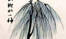 描写松树外貌的段落