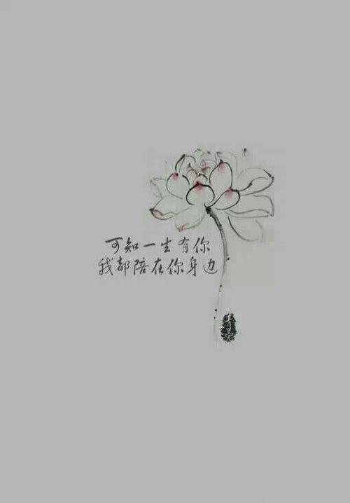 美丽的古典句子