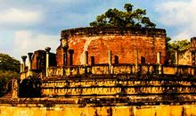 孤单星球经典语录