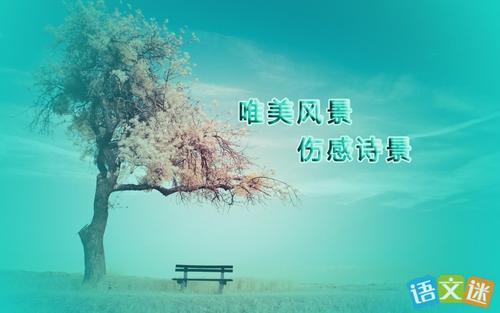 诗歌描述单相思