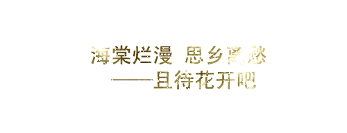 QQ谈恋爱的秘密