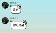 押韵的骂人的话