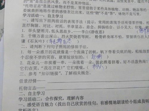 抒情诗句