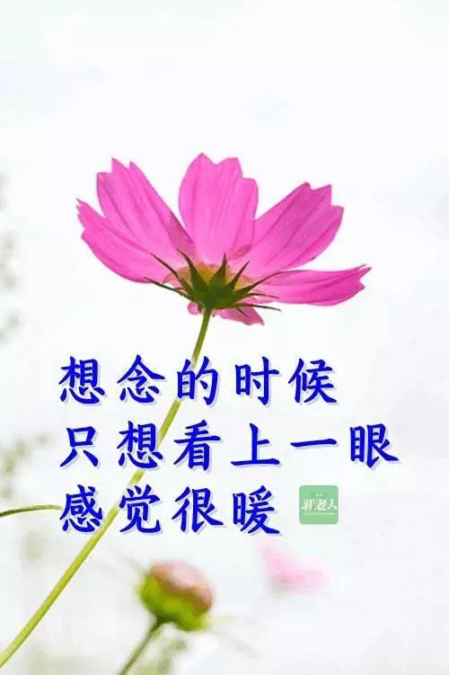 一个快乐的句子