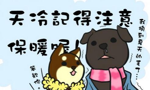 祝福搞笑短信