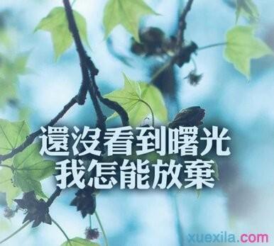 2017签名最新版女性阳光