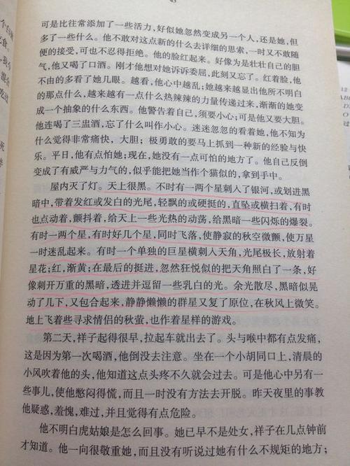 阅读罗托祥子的好词和句子