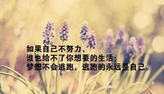 人生哲学的七个词