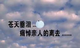 慰安亲人的诗