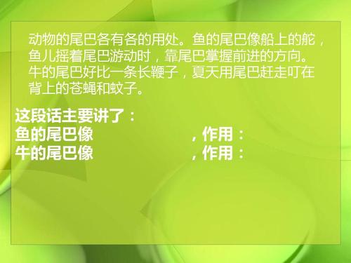 描述小动物的外表