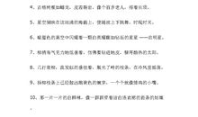 唯美的句子摘抄大全