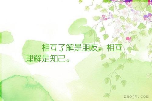 知己的句子