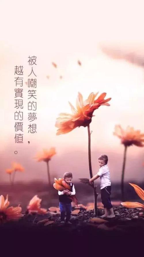 寻找爱情的句子