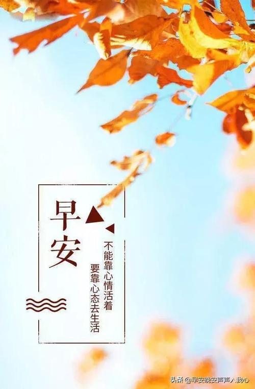 审美句子等待
