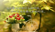 关于阳光唯美的句子