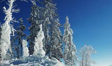 描写冬天冷的句子