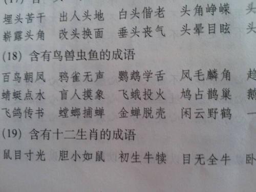 描述动物的词