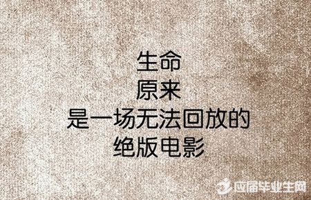 爱伤了感言