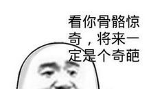 2017骂人最毒的话