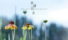 描述八月的句子