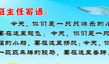 感恩老师好句子