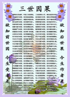 关于因果关系的经典句子