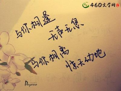 描述一个快乐的句子