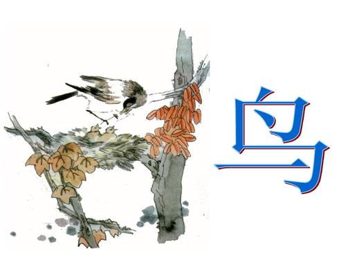 关于描述鸟类的诗