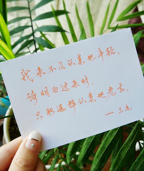审美句子三毛