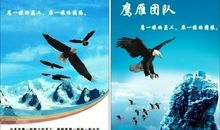 描写团队精神的词语