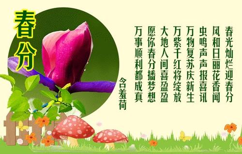 左水水座右铭