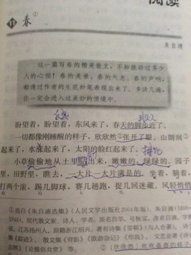 小草好句子