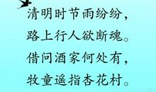 关于描写柳树的句子