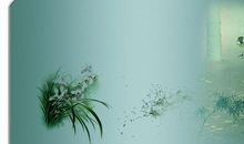 雪小禅经典句子