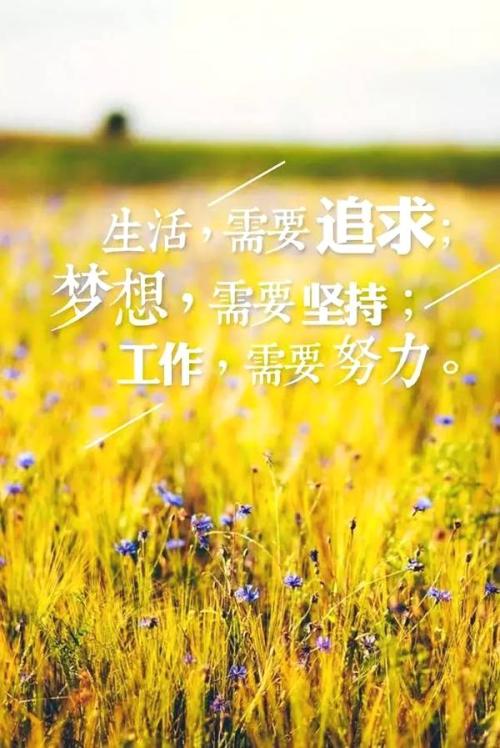 梦想励志句子