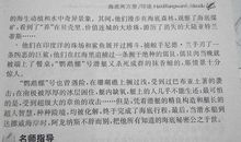 追风筝的人好词好句