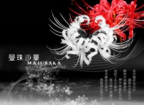 漂亮的句子