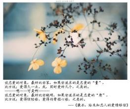 美好的爱情短信