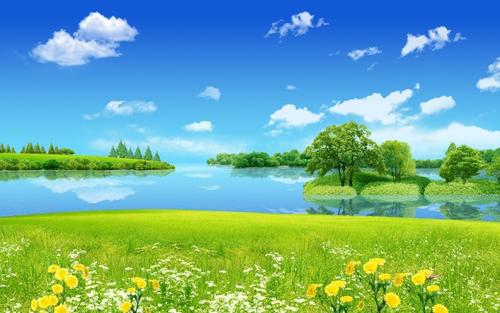 描述夏天的风景
