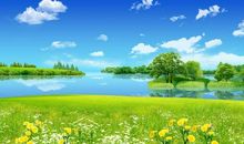 描写夏天的景色