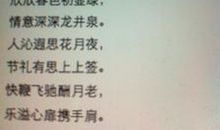 qq个性签名情人节