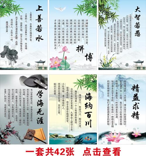婴儿口号