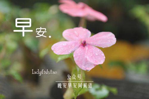 最简单的祝福