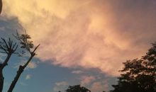 天气好心情好的说说