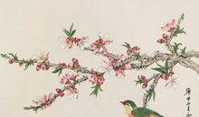 关于鸟名的诗句古诗