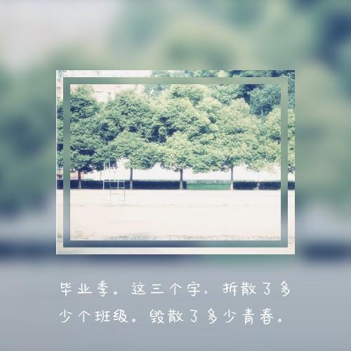 毕业季美句
