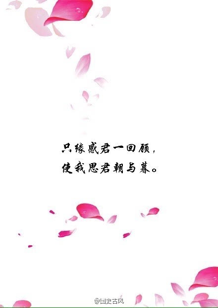 表示爱的诗