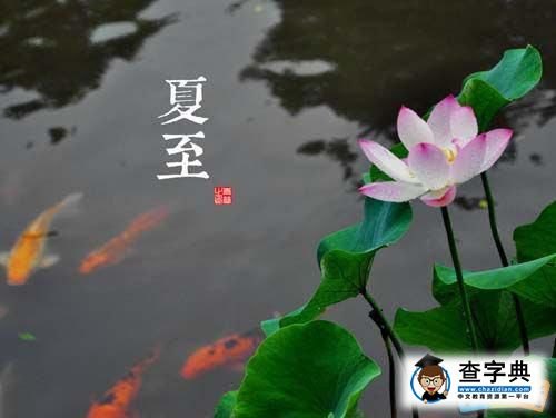 成语形容莲花